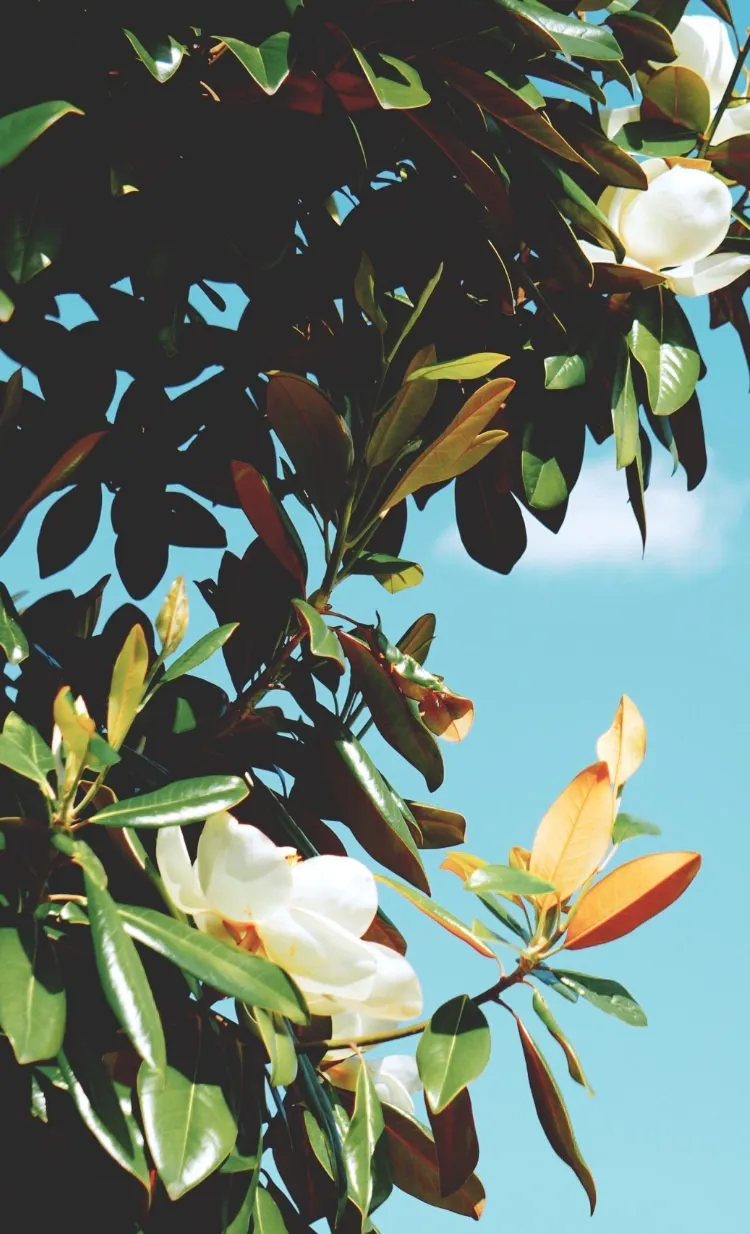 Brighter,Better,Stronger